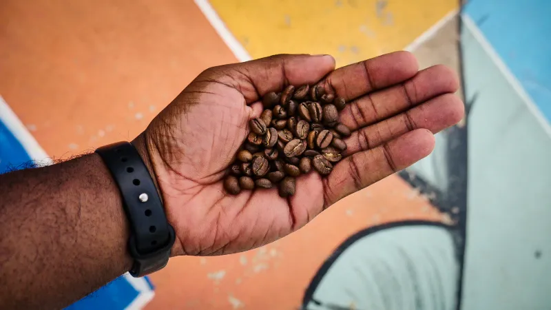 A hand holding roasted coffee beans in front of a painted mural